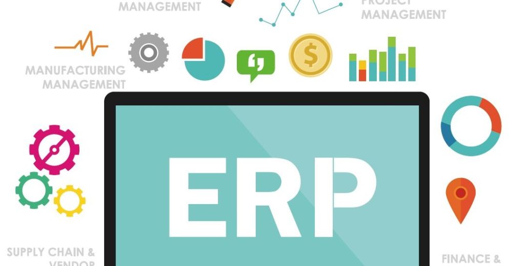 ERP Consultant in India