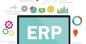 ERP Consultant in India