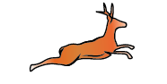 Gazelle Supply Chain Consultant